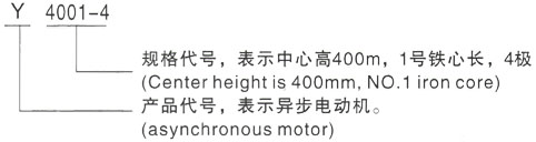 西安泰富西玛Y系列(H355-1000)高压西乡塘三相异步电机型号说明